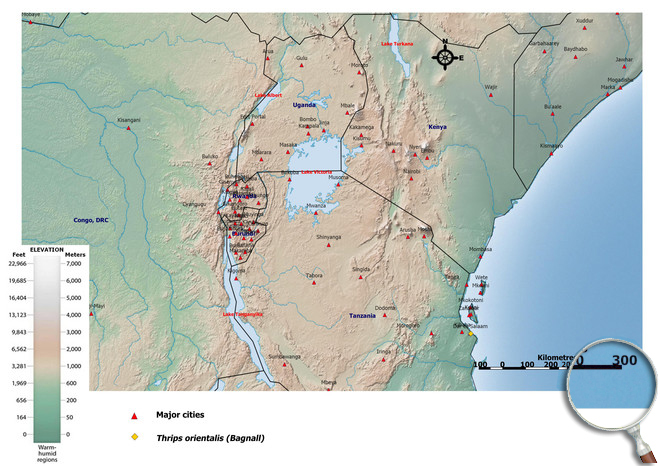 Distibution Map East Africa